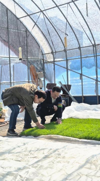 영광군 영농철 애로사항, 현장 밀착형 기술지원 강화 기사 이미지